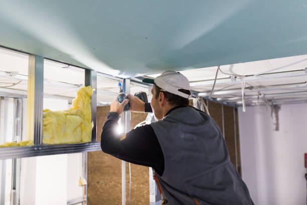 Best Eco-Friendly Insulation in The Hammocks, FL