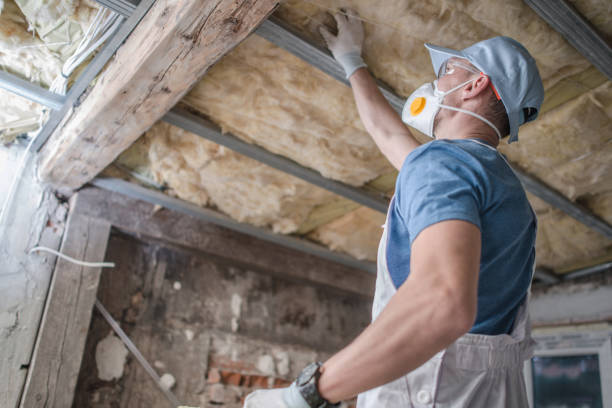 Best Spray Foam Insulation in The Hammocks, FL