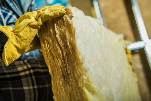 Types of Insulation We Offer in The Hammocks, FL