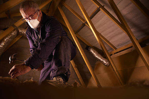 Best Insulation Maintenance and Repair in The Hammocks, FL