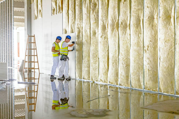 Best Blown-in Insulation in The Hammocks, FL